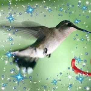 Meet your Posher, Len